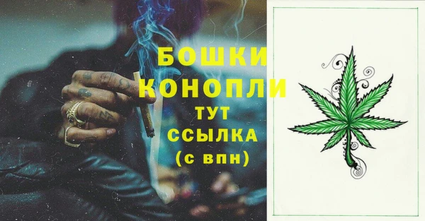 прущие крисы Магадан