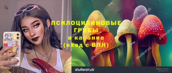 прущие крисы Магадан