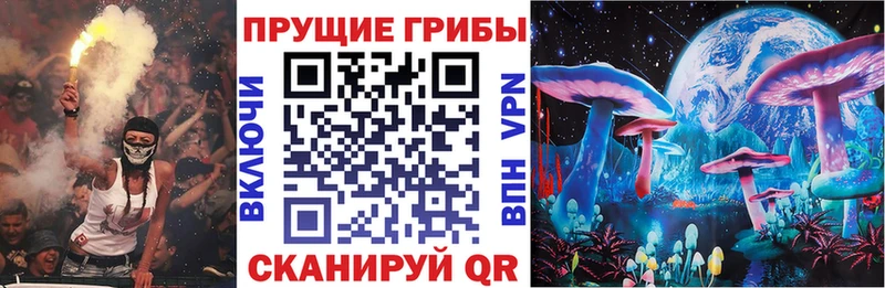 Галлюциногенные грибы Psilocybine cubensis  Тюкалинск 